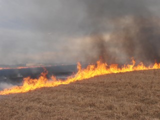 Požiar 